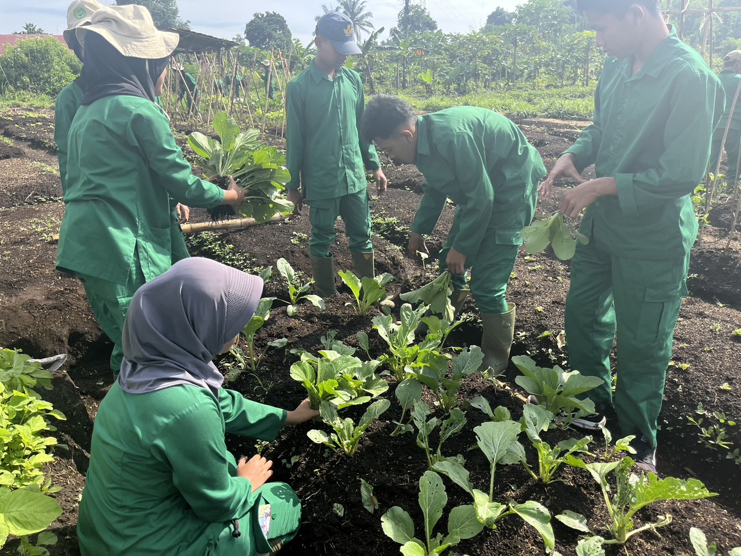 野菜栽培実習の様子