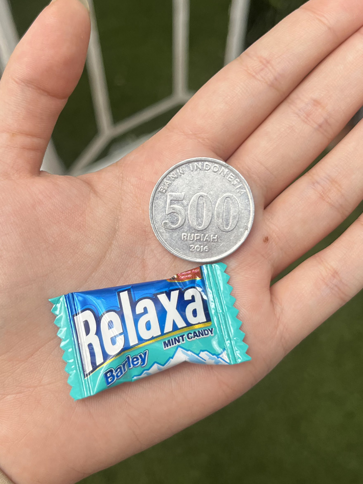 サウェランでゲットした小銭と飴